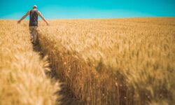 Black Sea Grain Iniziative