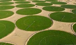 Algeria (parte seconda)
