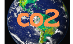 COP 30 il re è nudo, ovvero quando l’ideologia prevale sulla pratica