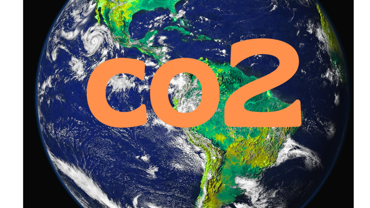 COP 30 il re è nudo, ovvero quando l’ideologia prevale sulla pratica