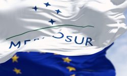 Accordo UE-Mercosur: guida operativa Confindustria
