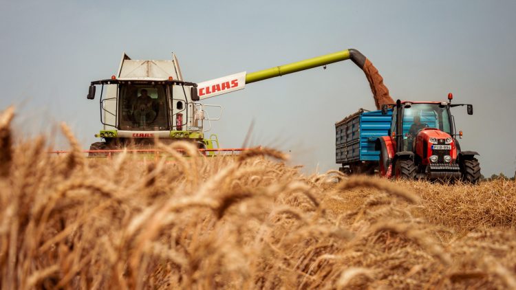 Crisi nel Mar Nero e minaccia della sicurezza alimentare globale